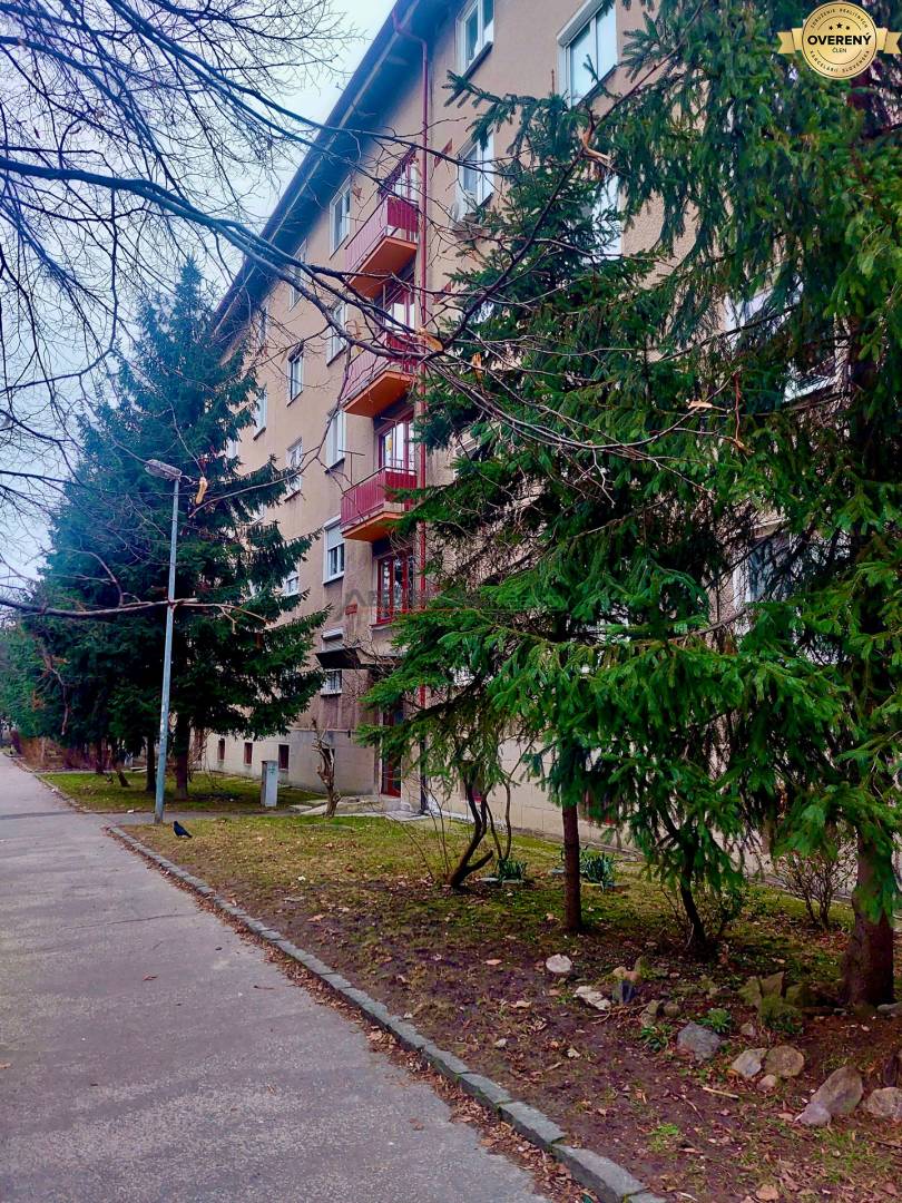 Rent One bedroom apartment, One bedroom apartment, Sibírska, Bratislav