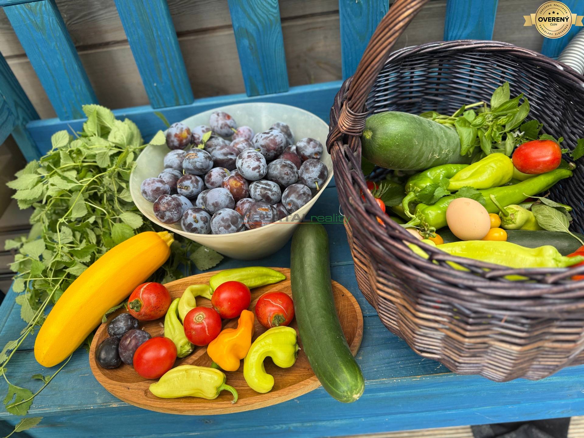 Rent Family house, Family house, Pezinok, Slovakia