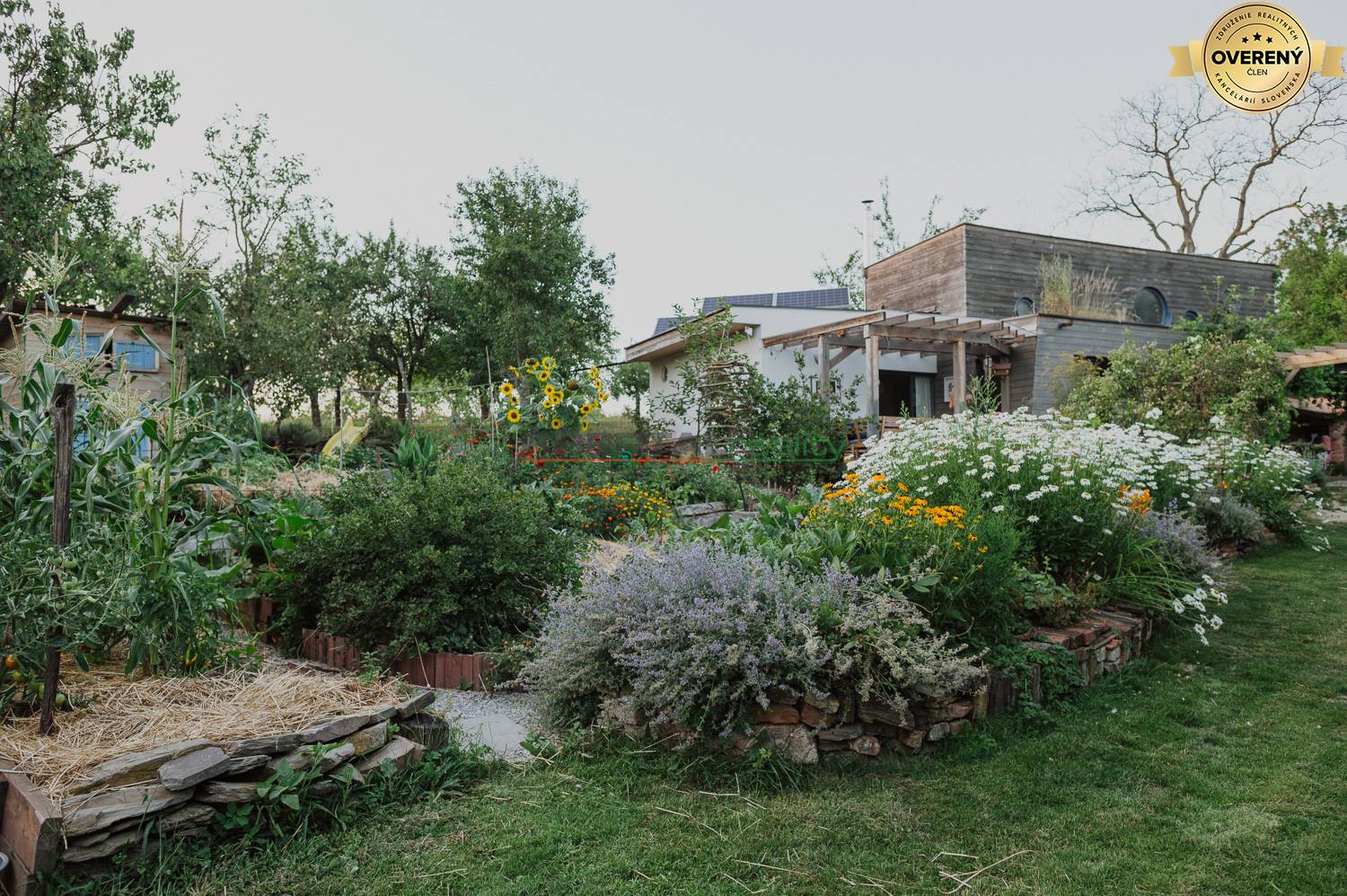 Rent Family house, Family house, Pezinok, Slovakia